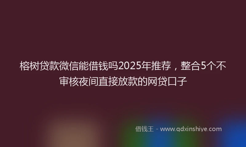 榕树贷款微信能借钱吗2025年推荐，整合5个不审核夜间直接放款的网贷口子