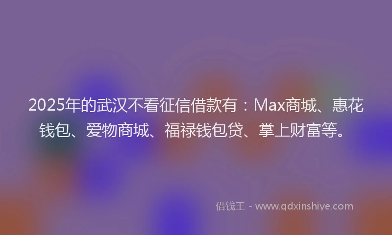 2025年的武汉不看征信借款有：Max商城、惠花钱包、爱物商城、福禄钱包贷、掌上财富等。