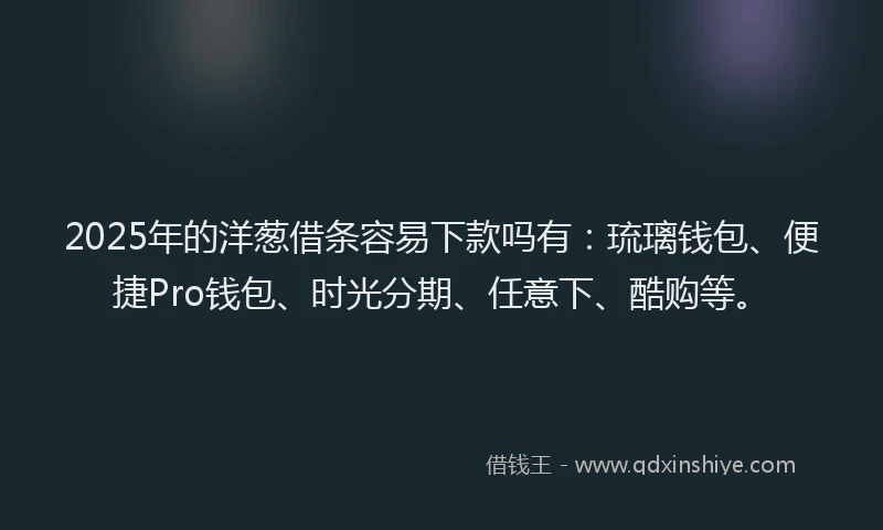 2025年的洋葱借条容易下款吗有：琉璃钱包、便捷Pro钱包、时光分期、任意下、酷购等。
