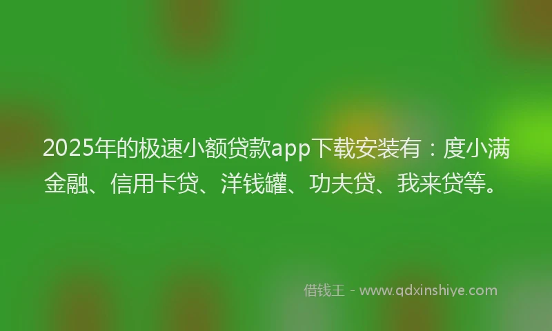 2025年的极速小额贷款app下载安装有：度小满金融、信用卡贷、洋钱罐、功夫贷、我来贷等。
