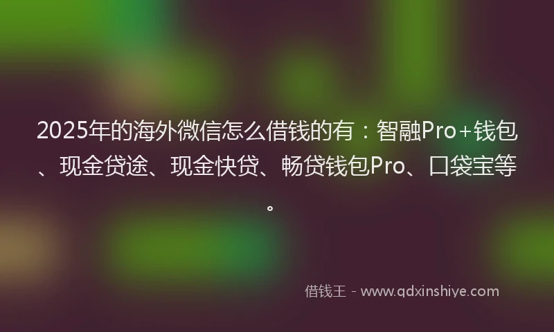 2025年的海外微信怎么借钱的有：智融Pro+钱包、现金贷途、现金快贷、畅贷钱包Pro、口袋宝等。