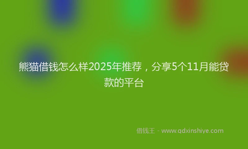 熊猫借钱怎么样2025年推荐，分享5个11月能贷款的平台