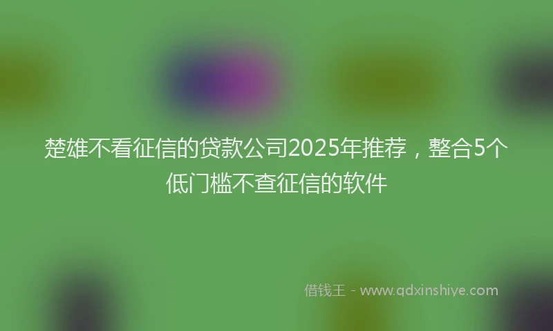 楚雄不看征信的贷款公司2025年推荐，整合5个低门槛不查征信的软件