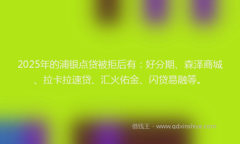 2025年的浦银点贷被拒后有：好分期、森泽商城、拉卡拉速贷、汇火佑金、闪贷易融等。