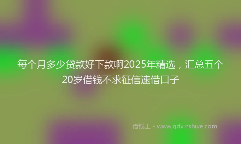 每个月多少贷款好下款啊2025年精选，汇总五个20岁借钱不求征信速借口子