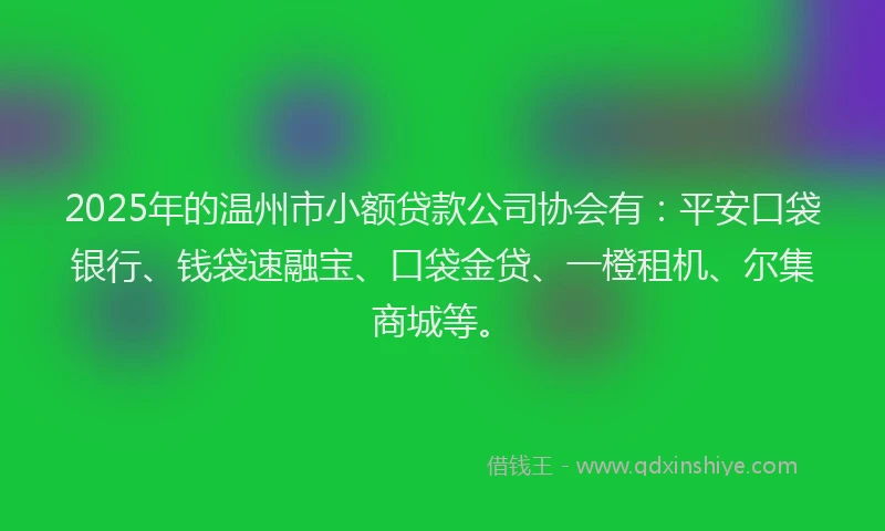 2025年的温州市小额贷款公司协会有：平安口袋银行、钱袋速融宝、口袋金贷、一橙租机、尔集商城等。