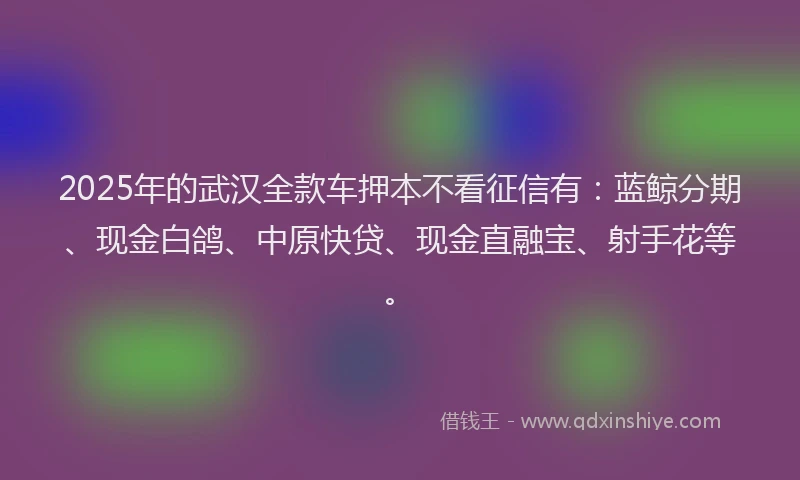 2025年的武汉全款车押本不看征信有：蓝鲸分期、现金白鸽、中原快贷、现金直融宝、射手花等。