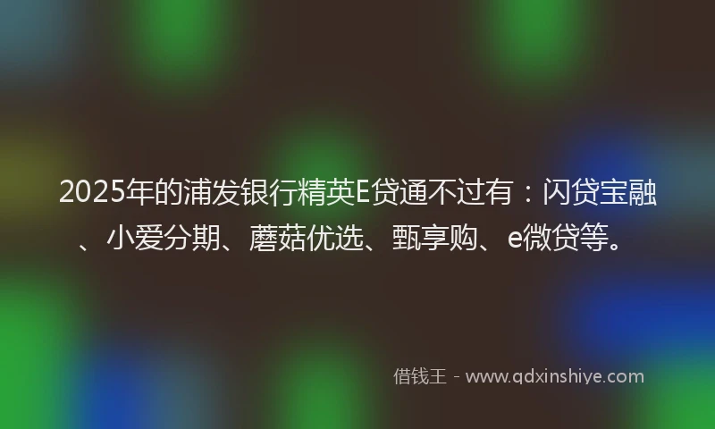 2025年的浦发银行精英E贷通不过有：闪贷宝融、小爱分期、蘑菇优选、甄享购、e微贷等。