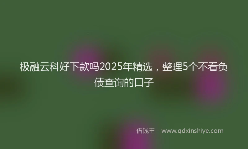 极融云科好下款吗2025年精选，整理5个不看负债查询的口子