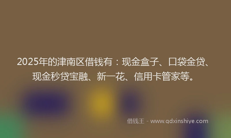 2025年的津南区借钱有：现金盒子、口袋金贷、现金秒贷宝融、新一花、信用卡管家等。