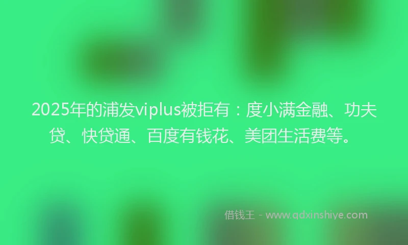 2025年的浦发viplus被拒有：度小满金融、功夫贷、快贷通、百度有钱花、美团生活费等。