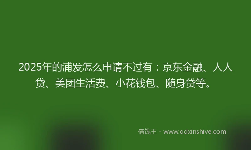 2025年的浦发怎么申请不过有：京东金融、人人贷、美团生活费、小花钱包、随身贷等。