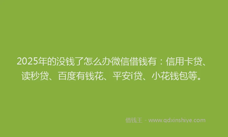 2025年的没钱了怎么办微信借钱有：信用卡贷、读秒贷、百度有钱花、平安i贷、小花钱包等。