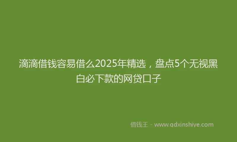 滴滴借钱容易借么2025年精选，盘点5个无视黑白必下款的网贷口子