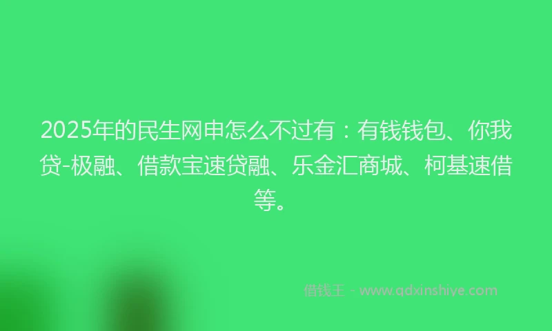 2025年的民生网申怎么不过有：有钱钱包、你我贷-极融、借款宝速贷融、乐金汇商城、柯基速借等。