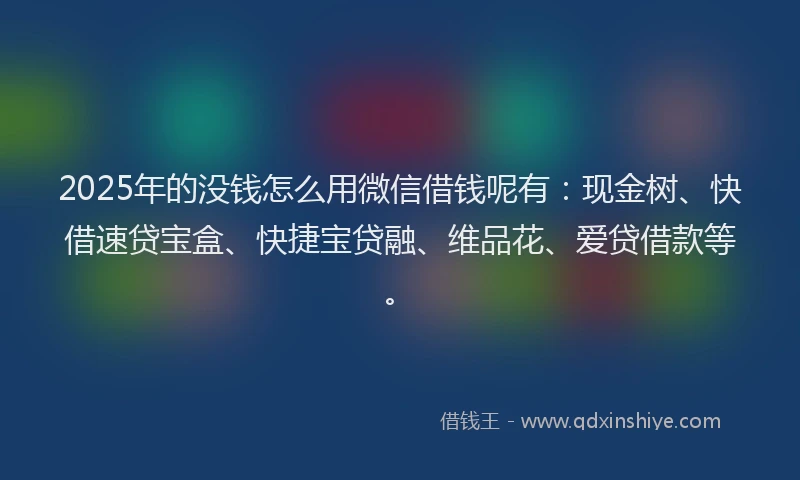 2025年的没钱怎么用微信借钱呢有：现金树、快借速贷宝盒、快捷宝贷融、维品花、爱贷借款等。