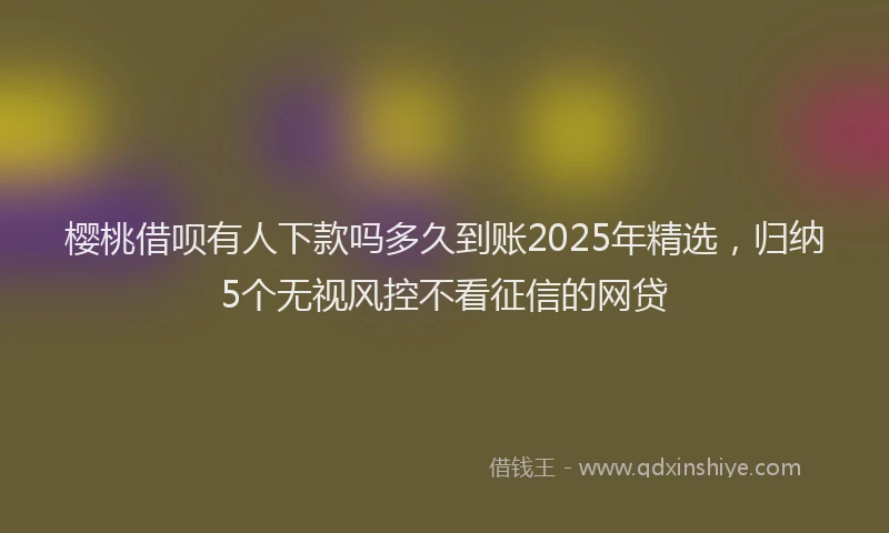 樱桃借呗有人下款吗多久到账2025年精选，归纳5个无视风控不看征信的网贷