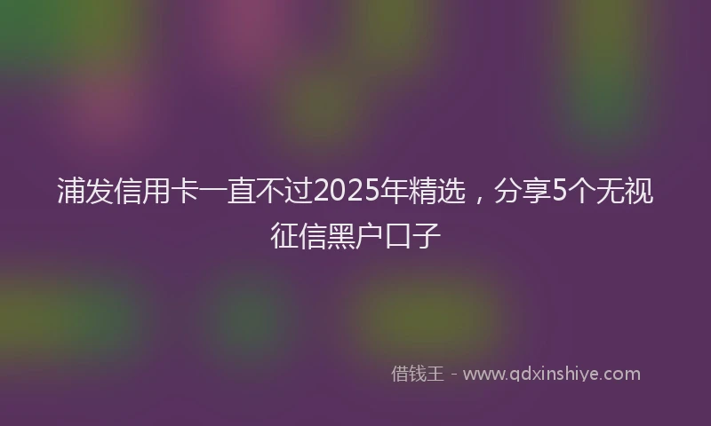 浦发信用卡一直不过2025年精选，分享5个无视征信黑户口子