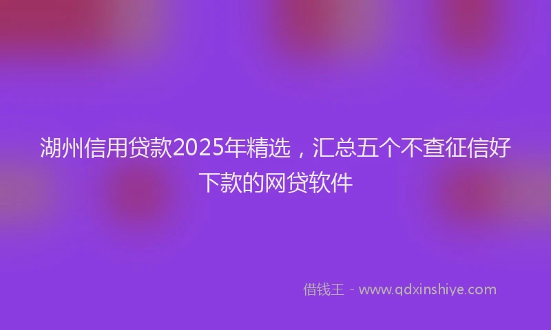 湖州信用贷款2025年精选，汇总五个不查征信好下款的网贷软件