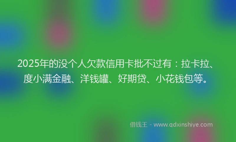 2025年的没个人欠款信用卡批不过有：拉卡拉、度小满金融、洋钱罐、好期贷、小花钱包等。
