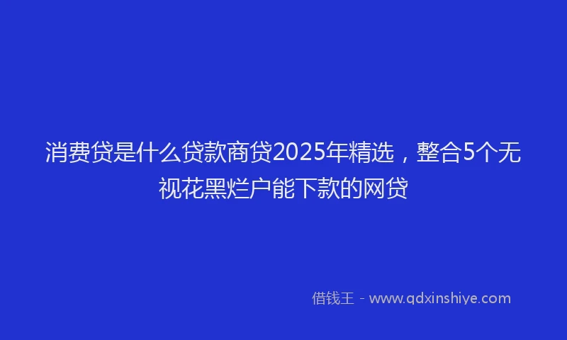 消费贷是什么贷款商贷2025年精选，整合5个无视花黑烂户能下款的网贷