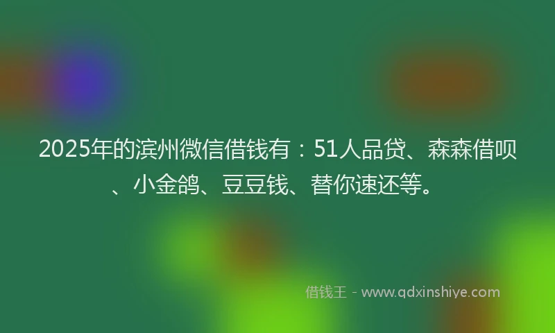 2025年的滨州微信借钱有：51人品贷、森森借呗、小金鸽、豆豆钱、替你速还等。