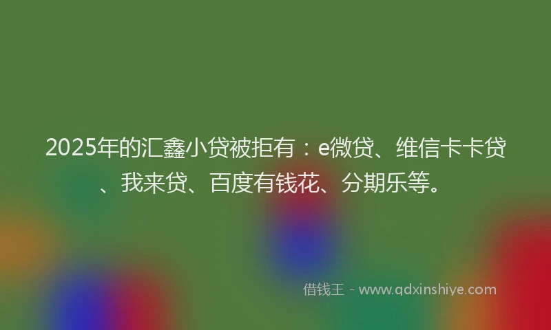 2025年的汇鑫小贷被拒有：e微贷、维信卡卡贷、我来贷、百度有钱花、分期乐等。