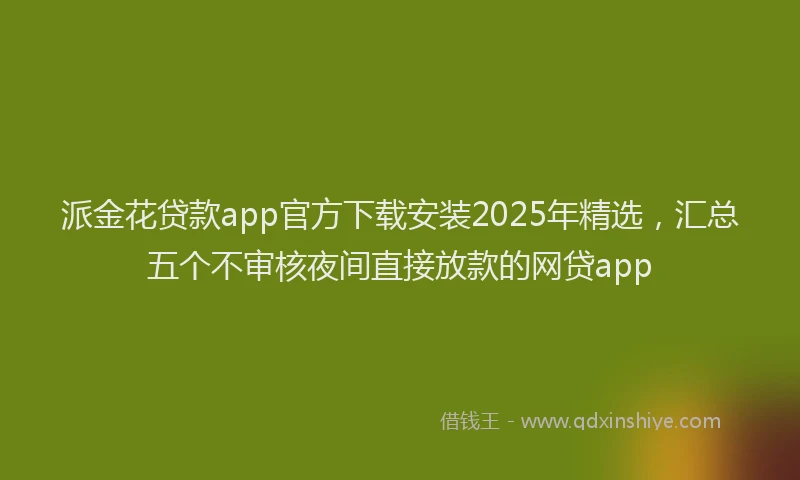 派金花贷款app官方下载安装2025年精选，汇总五个不审核夜间直接放款的网贷app