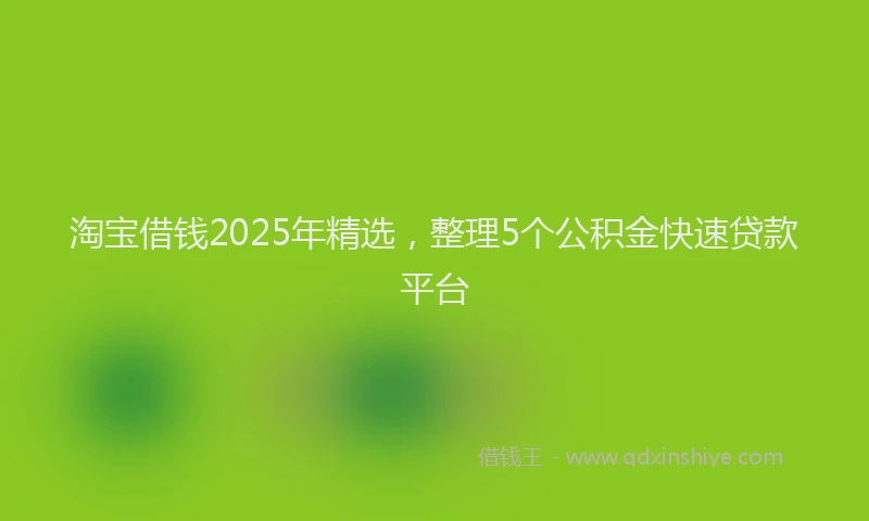淘宝借钱2025年精选，整理5个公积金快速贷款平台