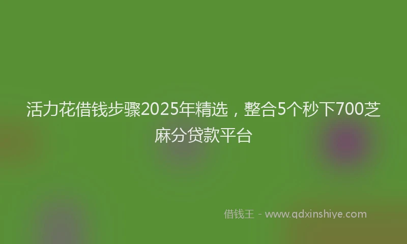 活力花借钱步骤2025年精选，整合5个秒下700芝麻分贷款平台