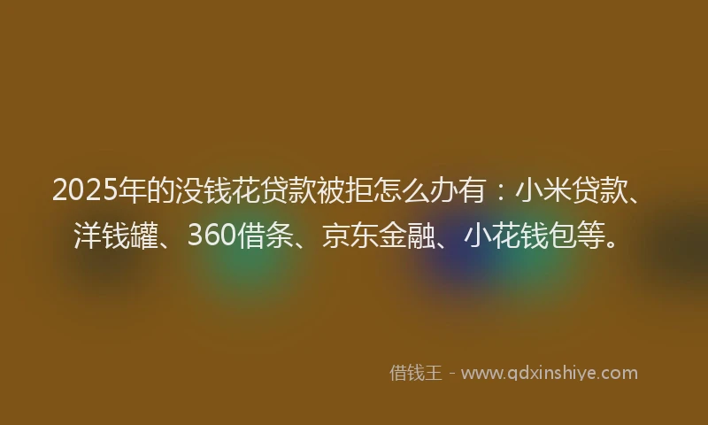 2025年的没钱花贷款被拒怎么办有：小米贷款、洋钱罐、360借条、京东金融、小花钱包等。
