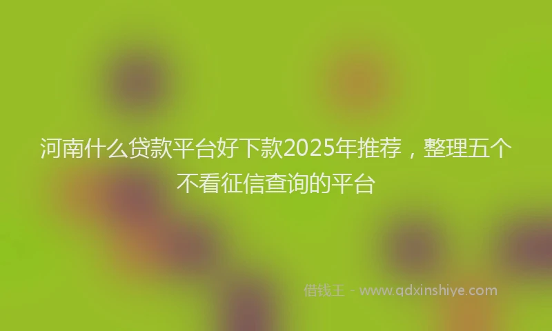 河南什么贷款平台好下款2025年推荐，整理五个不看征信查询的平台