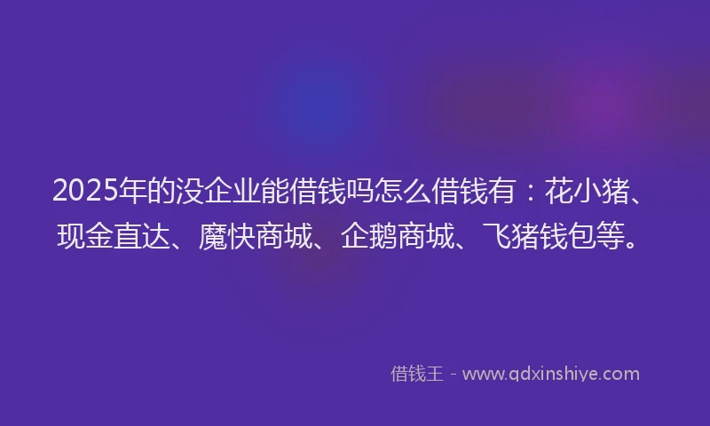 2025年的没企业能借钱吗怎么借钱有：花小猪、现金直达、魔快商城、企鹅商城、飞猪钱包等。