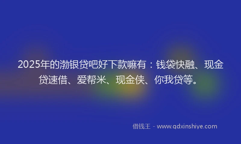 2025年的渤银贷吧好下款嘛有：钱袋快融、现金贷速借、爱帮米、现金侠、你我贷等。