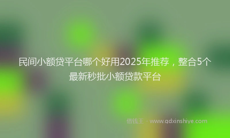民间小额贷平台哪个好用2025年推荐，整合5个最新秒批小额贷款平台