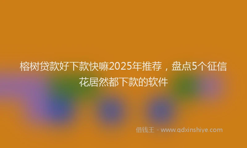 榕树贷款好下款快嘛2025年推荐，盘点5个征信花居然都下款的软件