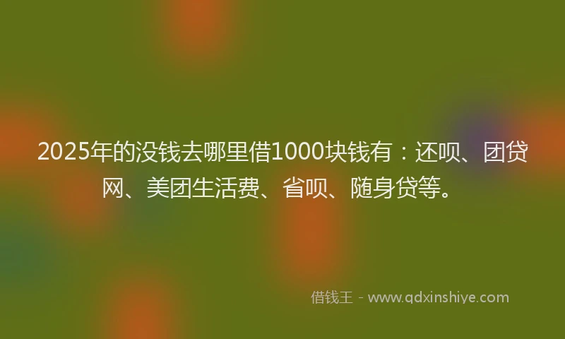 2025年的没钱去哪里借1000块钱有：还呗、团贷网、美团生活费、省呗、随身贷等。