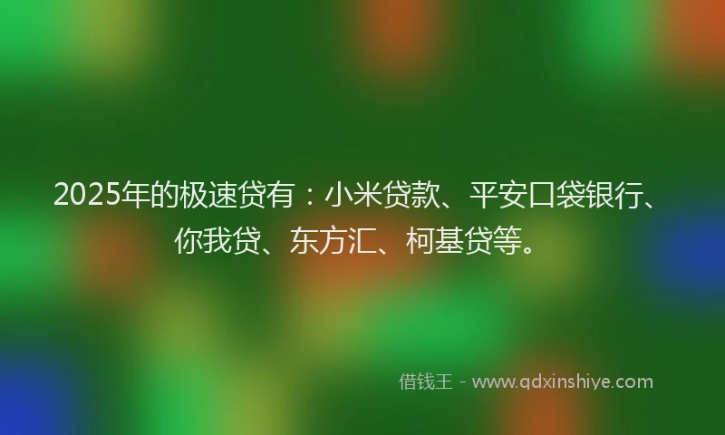 2025年的极速贷有：小米贷款、平安口袋银行、你我贷、东方汇、柯基贷等。