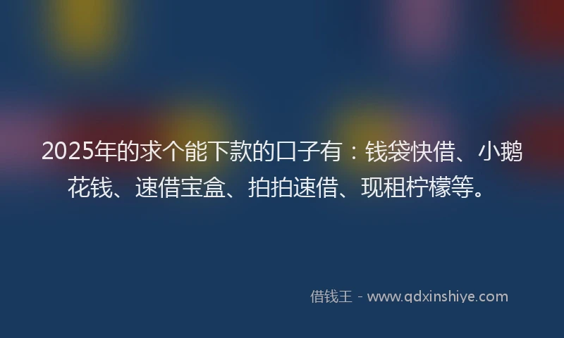 2025年的求个能下款的口子有：钱袋快借、小鹅花钱、速借宝盒、拍拍速借、现租柠檬等。