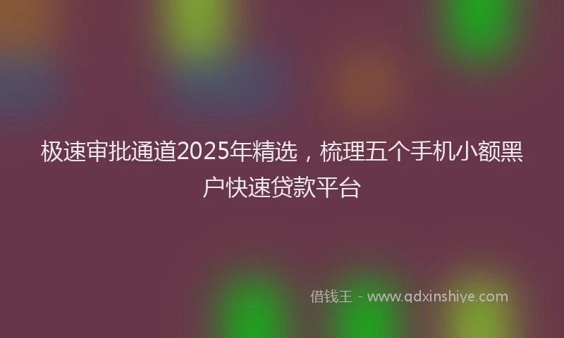 极速审批通道2025年精选，梳理五个手机小额黑户快速贷款平台