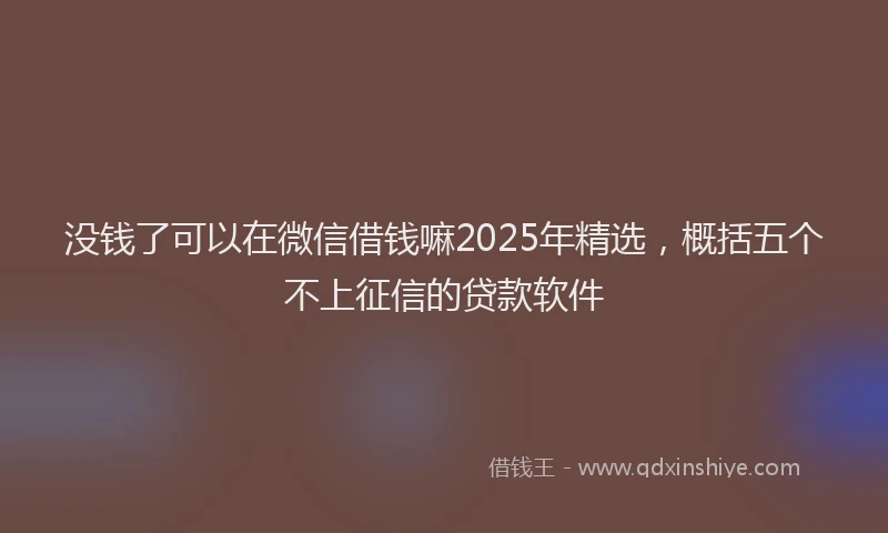 没钱了可以在微信借钱嘛2025年精选，概括五个不上征信的贷款软件