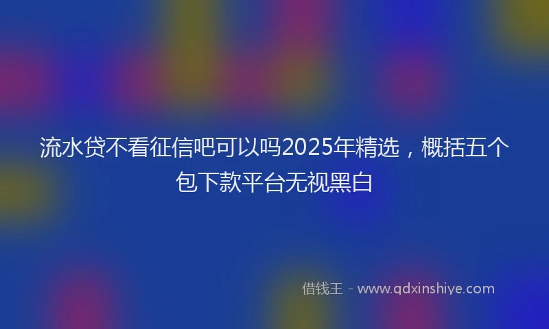 流水贷不看征信吧可以吗2025年精选，概括五个包下款平台无视黑白