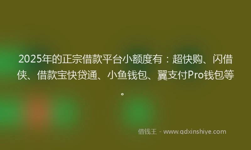 2025年的正宗借款平台小额度有：超快购、闪借侠、借款宝快贷通、小鱼钱包、翼支付Pro钱包等。