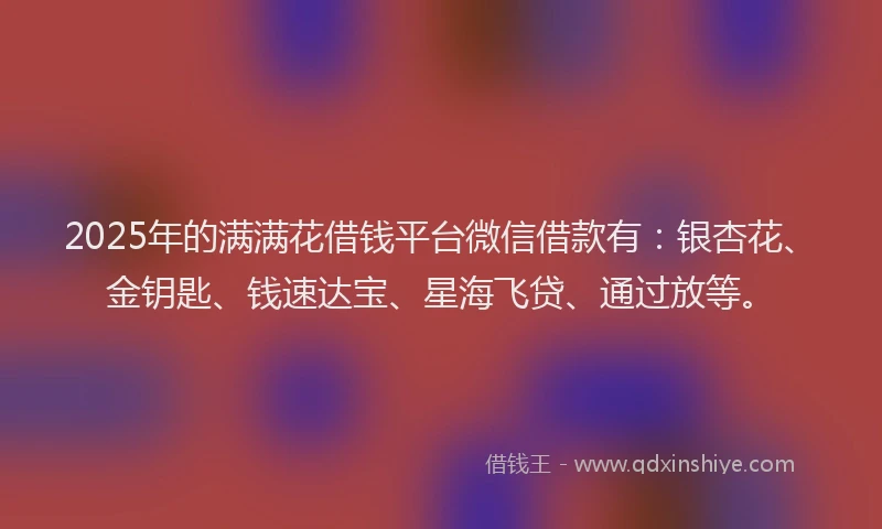 2025年的满满花借钱平台微信借款有：银杏花、金钥匙、钱速达宝、星海飞贷、通过放等。