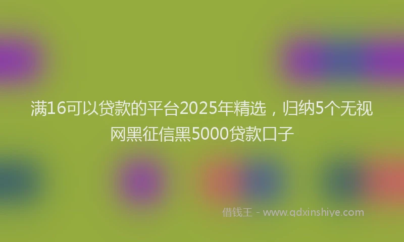满16可以贷款的平台2025年精选，归纳5个无视网黑征信黑5000贷款口子
