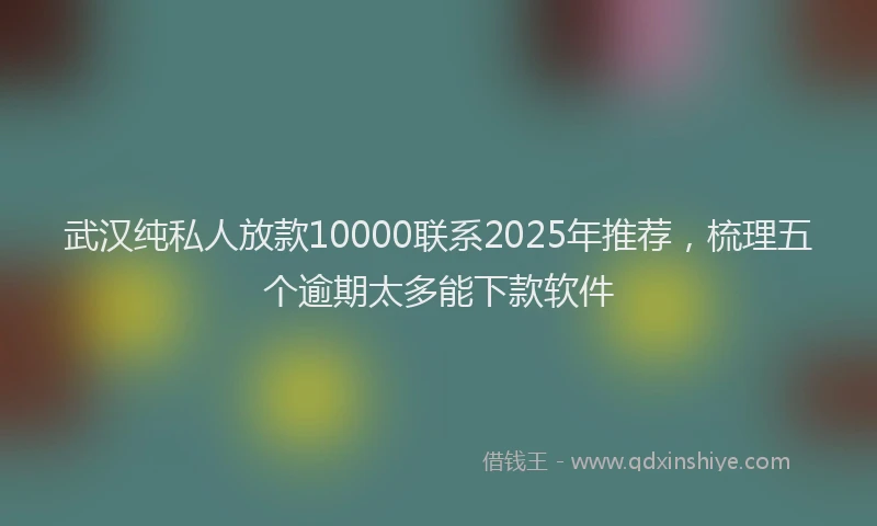 武汉纯私人放款10000联系2025年推荐，梳理五个逾期太多能下款软件