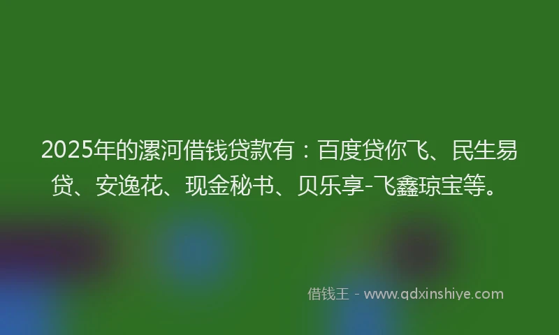 2025年的漯河借钱贷款有：百度贷你飞、民生易贷、安逸花、现金秘书、贝乐享-飞鑫琼宝等。