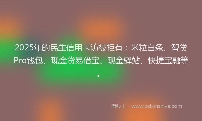 2025年的民生信用卡访被拒有：米粒白条、智贷Pro钱包、现金贷易借宝、现金驿站、快捷宝融等。