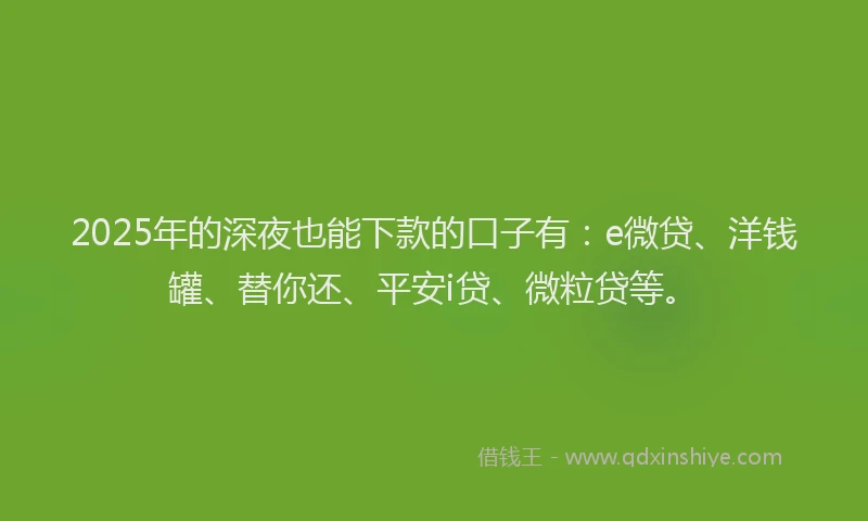 2025年的深夜也能下款的口子有：e微贷、洋钱罐、替你还、平安i贷、微粒贷等。