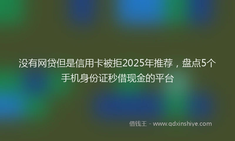 没有网贷但是信用卡被拒2025年推荐，盘点5个手机身份证秒借现金的平台